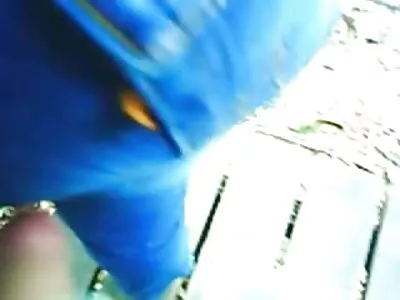 Melko ilmaiset erotiikka videot italialainen milf tehdä suihin ja handjob kondomin kanssa kukko,!