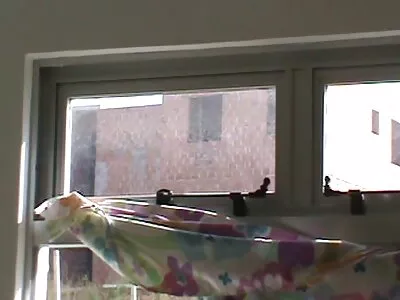 Kiitospäivä kolmikko Hookup ilmaiset porno filmit